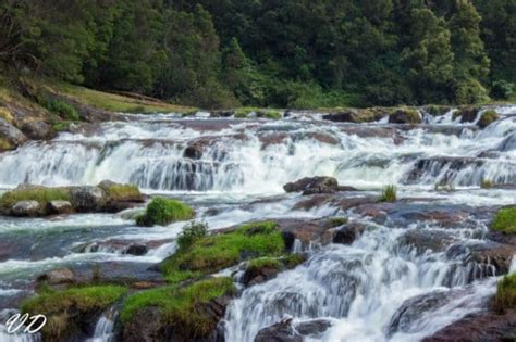 Pykara Waterfalls | Ooty - What to Expect | Timings | Tips - Trip Ideas ...