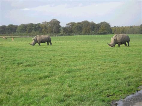 Knowsley Safari Park © Mark Arrowsmith :: Geograph Britain and Ireland