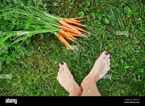 Top view female barefoot leg on grass with branch of raw organic ...