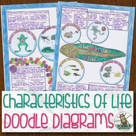 32 Characteristics Of Life Biology Worksheet - support worksheet