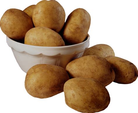 Potato clipart brown potato, Potato brown potato Transparent FREE for download on WebStockReview ...