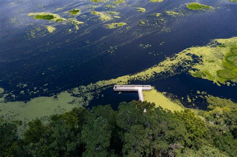 OCALA NATIONAL FOREST: An (Epic) Guide to Florida's Hidden Gem