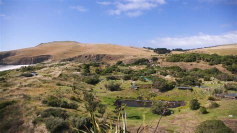 The patients at this New Zealand rehab center aren’t people – they’re ...