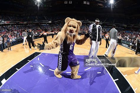 Sacramento Kings mascot, Slamson, gets ready to entertain the crowd ...