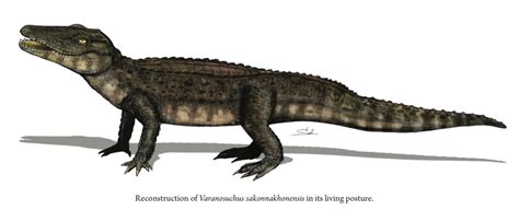 Species New to Science: [Paleontology • 2024] Varanosuchus sakonnakhonensis • New Cretaceous ...