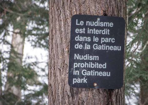 Cross Country Skiing in Gatineau Park, Quebec | Hike Bike Travel