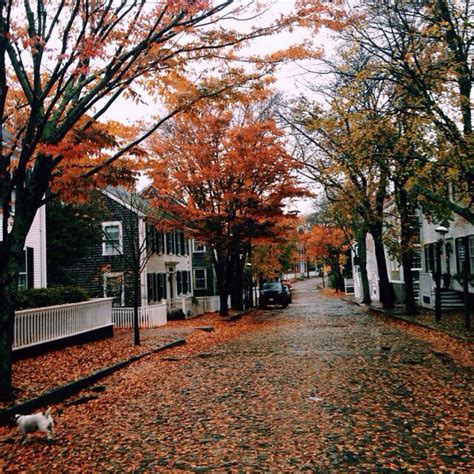 Fall in Nantucket | Halloween/Fall/Thanksgiving | Pinterest | Otoño ...