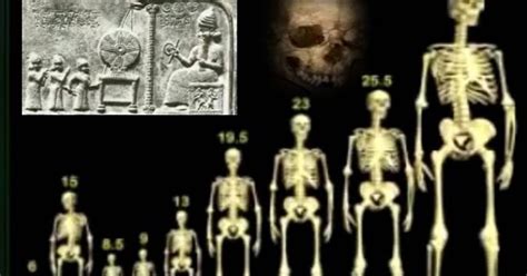 The Truth About Nephilim Giants - Steve Quayle ~ TTBTS Rons World News