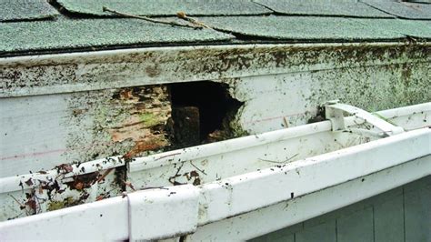 4 Fascia Board Repair Tips for Your Roof | Angie's List