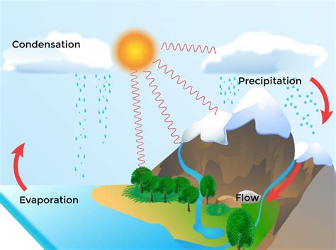 Water Cycle Condensation