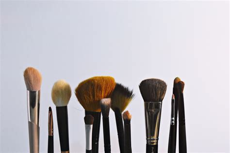 Free Images : brush, product, beauty, makeup brushes, tool, personal care, cosmetics, fawn ...