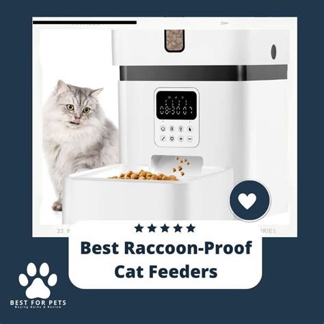 The 7 Best Raccoon-Proof Cat Feeders - BestForPets.org