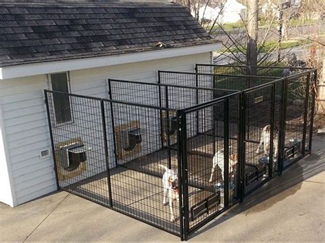 Multiple Kennel Direction | Indoor dog kennel, Dog kennel outdoor, Dog boarding kennels