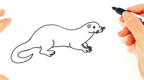 How To Draw A Otter Cute And we all know cuter is better