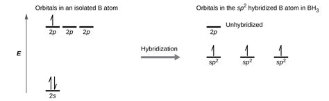 Hybrid Atomic Orbitals | Chemistry for Majors