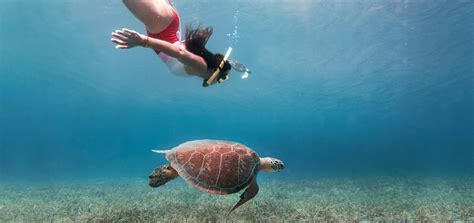 Culebra Island Snorkel & Kayaking Tour | Kayaking Puerto Rico