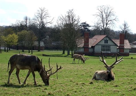 Deer in front of Park Farm, Woburn Abbey © Rob Farrow :: Geograph Britain and Ireland