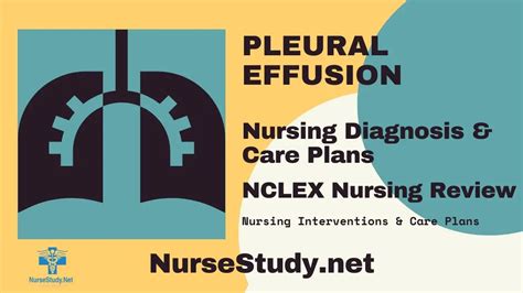 Pleural Effusion Nursing Diagnosis and Nursing Care Plan - NurseStudy.Net