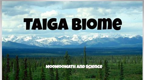 Taiga Biome Facts - YouTube