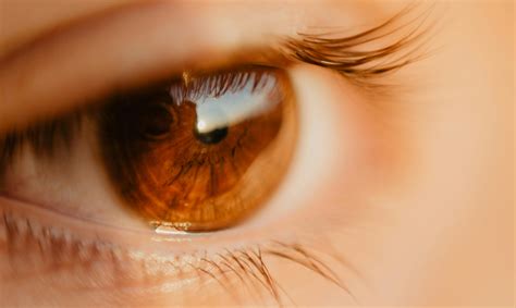 Close-up Photo of Unpaired Brown Eye · Free Stock Photo