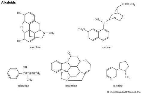 alkaloid | Definition, Structure, & Classification | Britannica.com