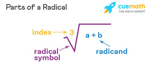 Radicand - Meaning, Symbol, Examples