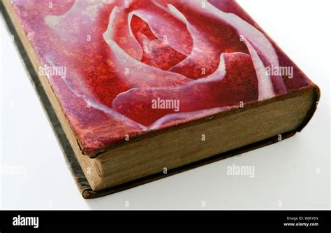 Rose printed on the cover of an aged old book Stock Photo - Alamy