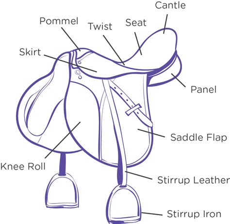 Parts Of A Saddle Diagram