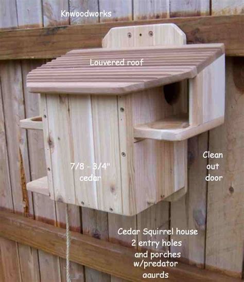 2 entry squirrel house we just ordered 2 of these for the baby squirrels my mither in law ...