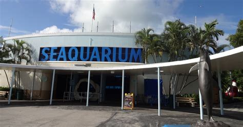 Miami Seaquarium - Exploring My Life