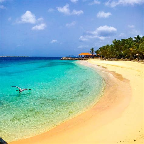 One of the Best Bonaire Resorts and Beaches: A Caribbean Island ...