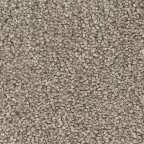 Shop Shaw Reclaim RR 12-ft Textured Interior Carpet at Lowes.com