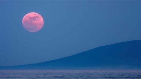 Here's Best Time To See The 'Pink Moon' In the Sky Tomorrow