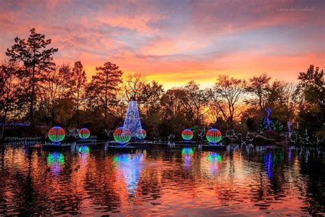 Vote - PNC Festival of Lights at the Cincinnati Zoo - Best Zoo Lights ...