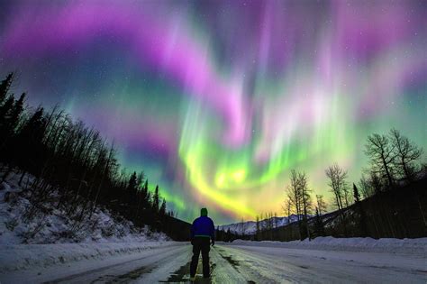 Aurora Northern Lights Alaska | Shelly Lighting