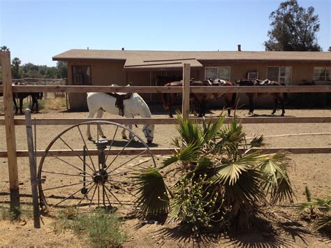 The Inland Empire, Norco, Horse Town USA, Norco Animal Rescue Team.What's Up I.E.