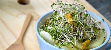 6 Health Benefits Of Broccoli Sprouts - DIY Active