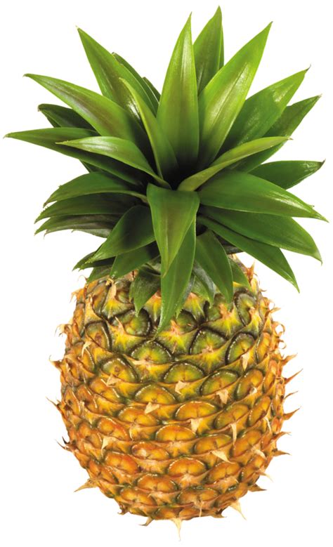 Pineapple Fruit Transparent Background 15100136 PNG