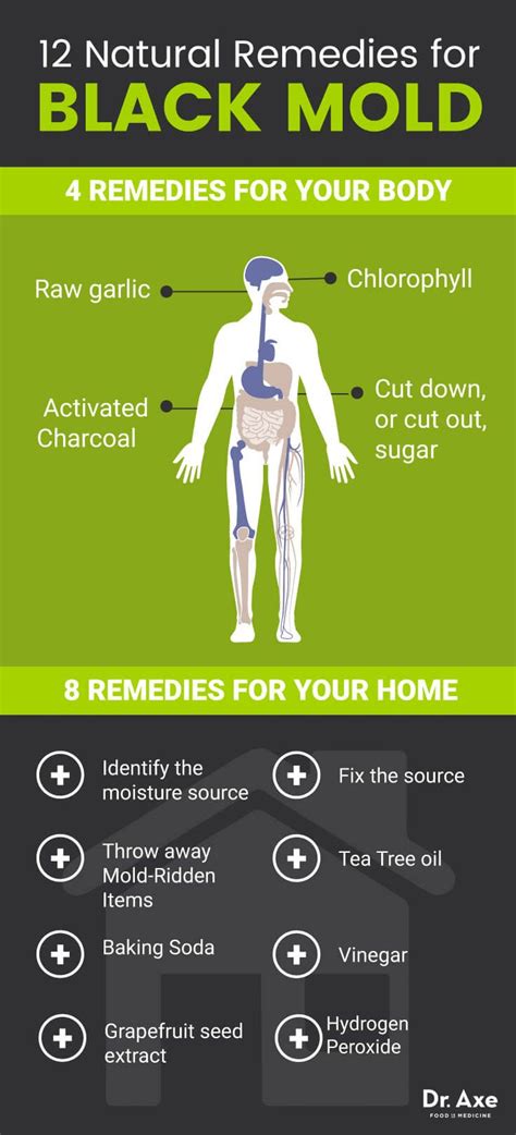 can mold cause liver damage - bluhm-faruolo-99