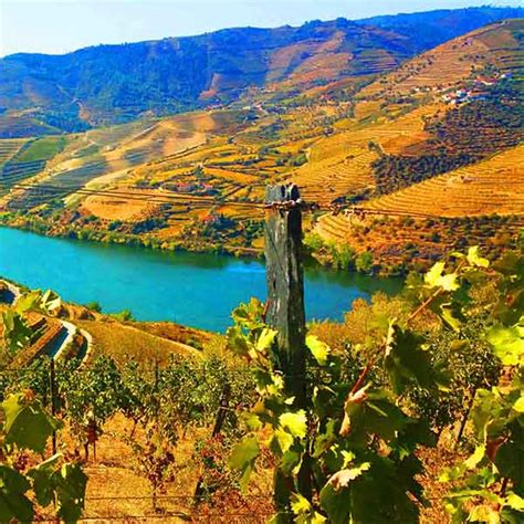 Wine Travel in Portugal - Premiere Tours