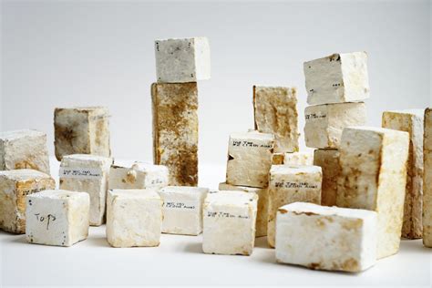 Mycelium-bound building materials Sustainable Construction, KIT Karlsruhe; Alternative ...