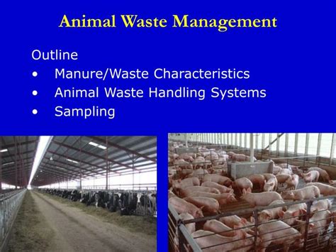 Animal Waste Management