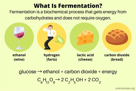 Mixed Acid Fermentation Vs Butanediol Fermentation at Lawrence Boerger blog