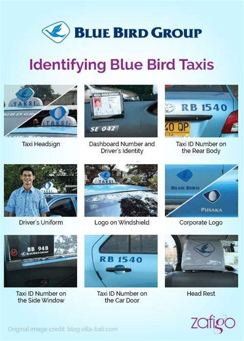 Blue Bird Taxi Logo - LogoDix