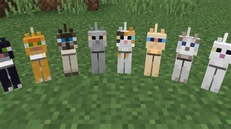 How to breed Cats in Minecraft?