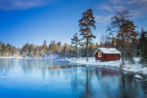 Wildlife Holidays in Sweden for 2024/25 - Naturetrek