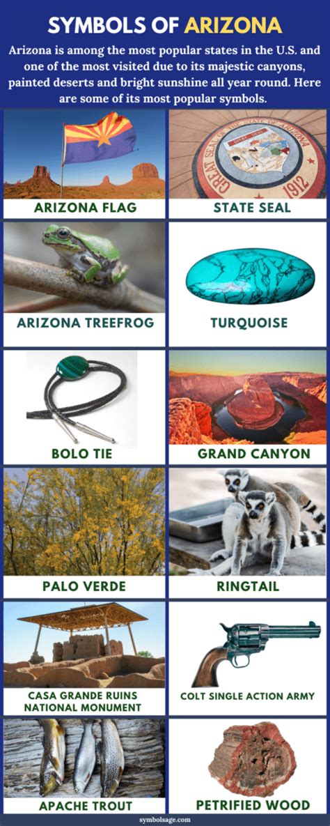 Symbols of Arizona (And What They Mean) - Symbol Sage