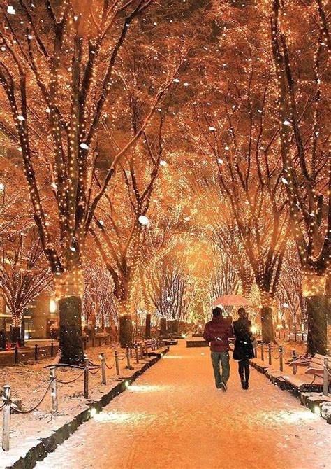 Wonderful lights in #Sendai #Japan | Winter scenery, Winter scenes ...