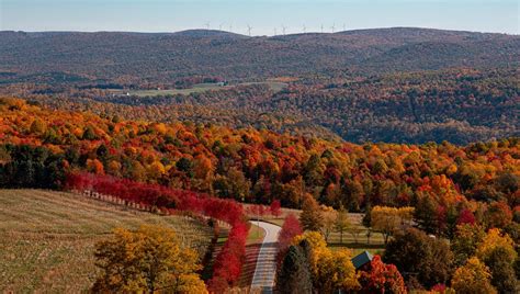 Top U.S. 10 Fall Foliage Destination | Laurel Highlands