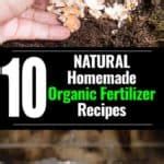 Making Organic Fertilizer: 10 Homemade Natural Fertilizer Recipes